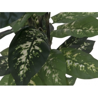 EUROPALMS Dieffenbachia, artificial, 120cm #2