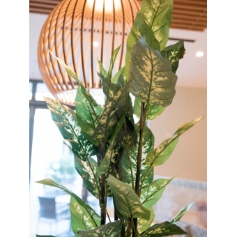 EUROPALMS Dieffenbachia, artificial, 120cm #9