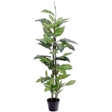 EUROPALMS Dieffenbachia, artificial, 120cm