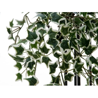 EUROPALMS Holland ivy bush tendril classic, artificial, 60cm #2