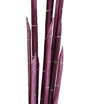 EUROPALMS Magic Onion Stalks, artificial, rose, 134cm #2