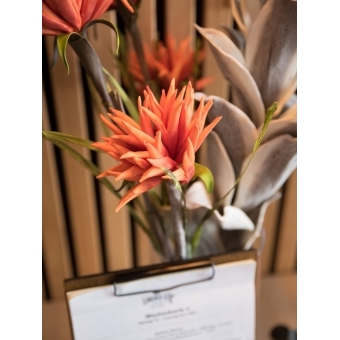 EUROPALMS Dahlia (EVA), artificial plant, orange, 100cm #8