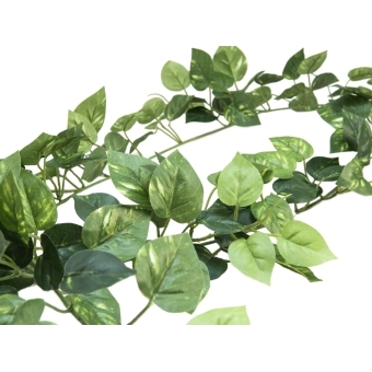 EUROPALMS Pothos garland classic, artificial, 180cm #3