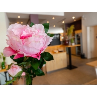 EUROPALMS Peony Branch classic, artificial plant, pink, 80cm #3