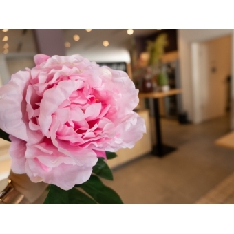 EUROPALMS Peony Branch classic, artificial plant, pink, 80cm #5