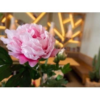 EUROPALMS Peony Branch classic, artificial plant, pink, 80cm #6