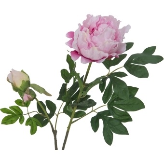 EUROPALMS Peony Branch premium, artificial plant, pink, 100cm #2