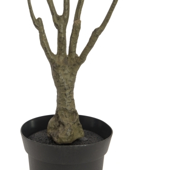 EUROPALMS Dracena, green-red, artificial,  90cm #2