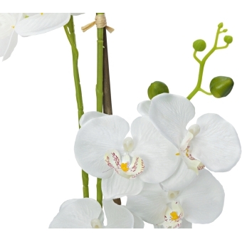 EUROPALMS Orchid, artificial plant, white, 80cm #3