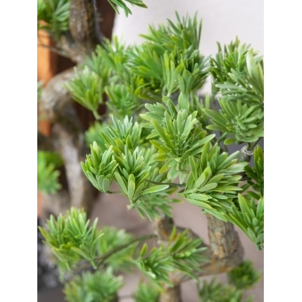 EUROPALMS Pine Bonsai, 70cm #5