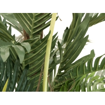 EUROPALMS Kentia Palm Tree, artificial plant, 150cm #4