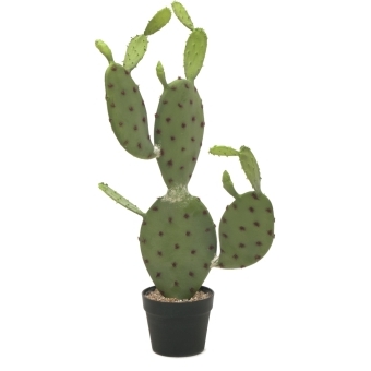 EUROPALMS Nopal cactus, artificial plant, 75cm