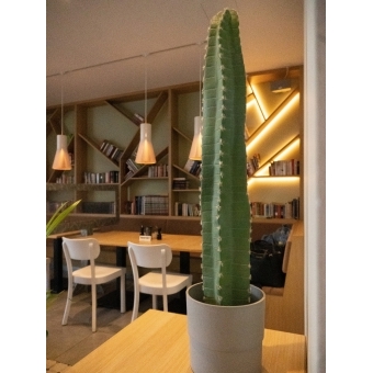 EUROPALMS Mexican Cactus, artificial plant, green, 97cm #6