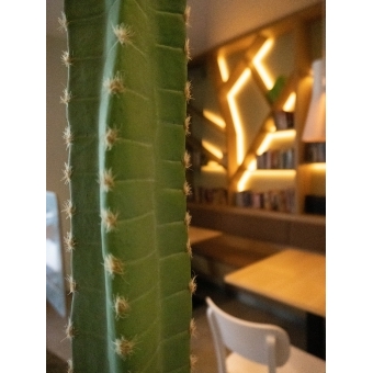 EUROPALMS Mexican Cactus, artificial plant, green, 97cm #7