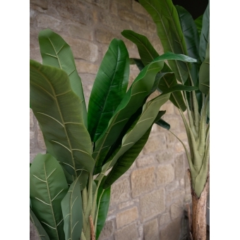 EUROPALMS Banana Tree, artificial plant, 120cm #12