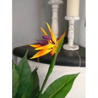 EUROPALMS Bird-of-paradise Flower, artificial plant, 90cm #6