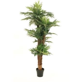 EUROPALMS Areca Palm, artificial plant, 170cm