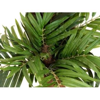 EUROPALMS Areca Palm, artificial plant, 170cm #4