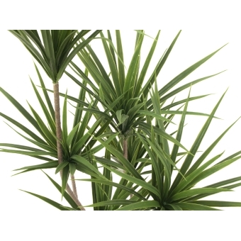 EUROPALMS Yucca Palm Tree, artificial plant, 130cm #2