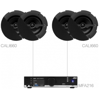 CENTO6.4D/B - MFA216 + 4 x CALI660  - Black version