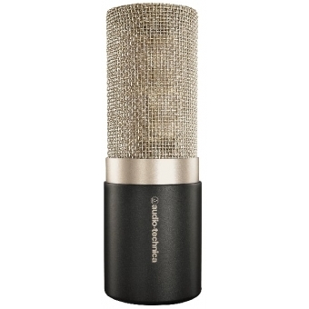 Audio Technica AT5040 - Microfon studio profesional