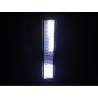 EUROLITE LED IP PIX Strobe RGB CW+WW #16