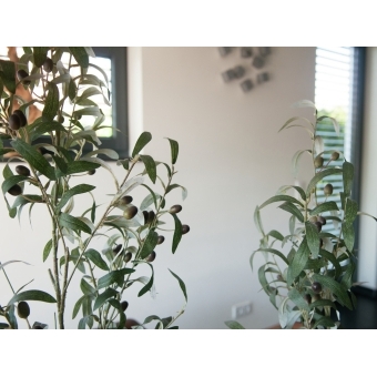 EUROPALMS Olive tree, artificial plant, 68 cm #4