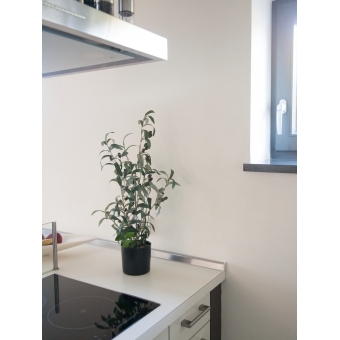 EUROPALMS Olive tree, artificial plant, 68 cm #5