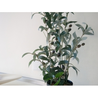 EUROPALMS Olive tree, artificial plant, 68 cm #7