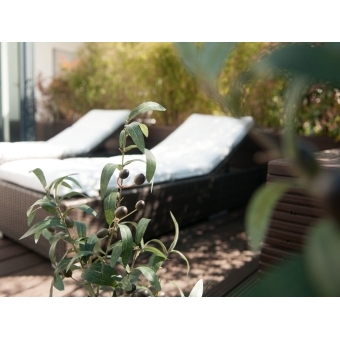 EUROPALMS Olive tree, artificial plant, 90 cm #5