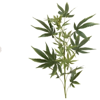 EUROPALMS Cannabis-spra, artificial plant, 90cm #2