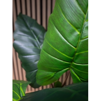 EUROPALMS Taro Alocasia, artificial plant, 140cm #5