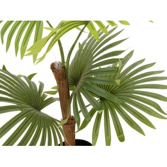 EUROPALMS Fan Palm, artificial plant, 88cm #2