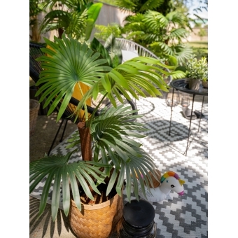 EUROPALMS Fan Palm, artificial plant, 88cm #8