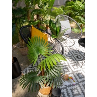 EUROPALMS Fan Palm, artificial plant, 88cm #9