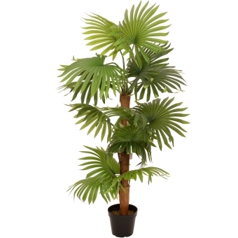 EUROPALMS Fan Palm, artificial plant, 130cm