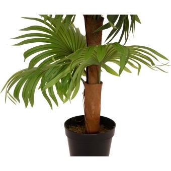 EUROPALMS Fan Palm, artificial plant, 130cm #3