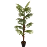 EUROPALMS Fan Palm, artificial plant, 155cm