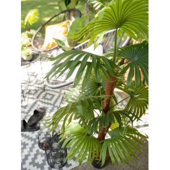EUROPALMS Fan Palm, artificial plant, 165cm #4