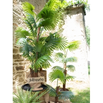 EUROPALMS Fan Palm, artificial plant, 165cm #7