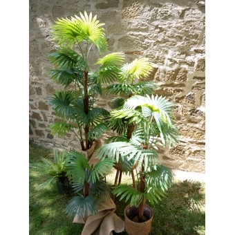 EUROPALMS Fan Palm, artificial plant, 165cm #9
