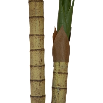 EUROPALMS Areca Palm, 2 trunks, artificial plant, 120cm #3