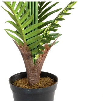 EUROPALMS Areca Palm, artificial plant, 180cm #4