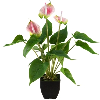 EUROPALMS Anthurium, artificial plant, white and pink