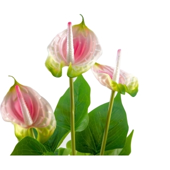EUROPALMS Anthurium, artificial plant, white and pink #3