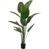 EUROPALMS Strelitzia, artificial plant, 170cm