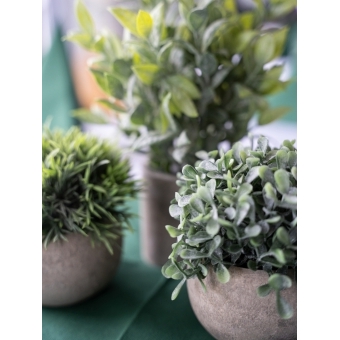EUROPALMS Table plants in pots, artificial plant, Set of 3 #13