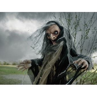 EUROPALMS Halloween Witch Nahema, 160cm #6