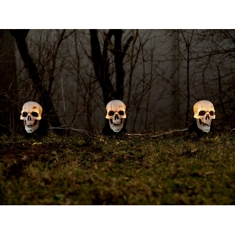 EUROPALMS Halloween Skeleton Head with Stake, Set of 3, 29cm #4