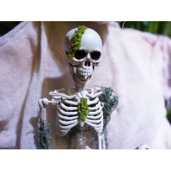 EUROPALMS Halloween Skelteton with Moss, 40cm #6